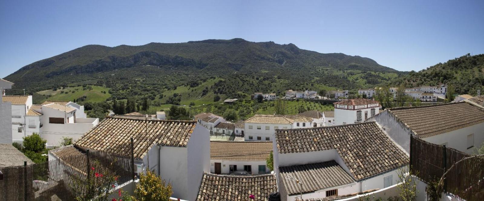 La Posada De La Muela Algodonales Eksteriør bilde